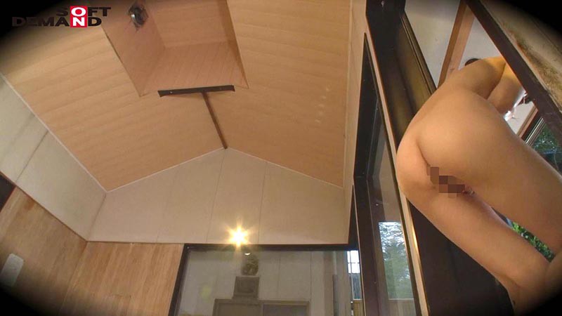 サンプル画像 9