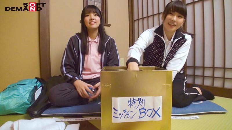 サンプル画像 2