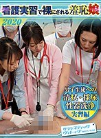 サムネイル画像