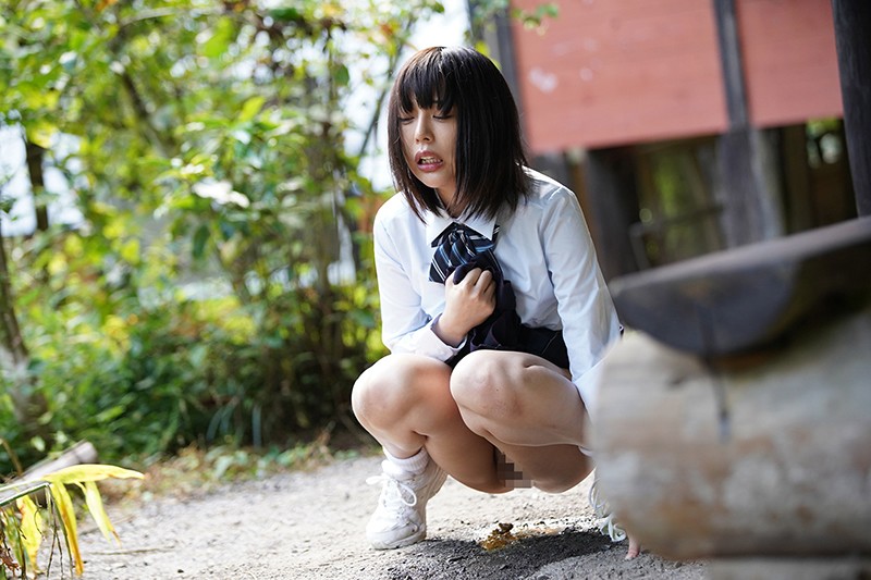 サンプル画像 6