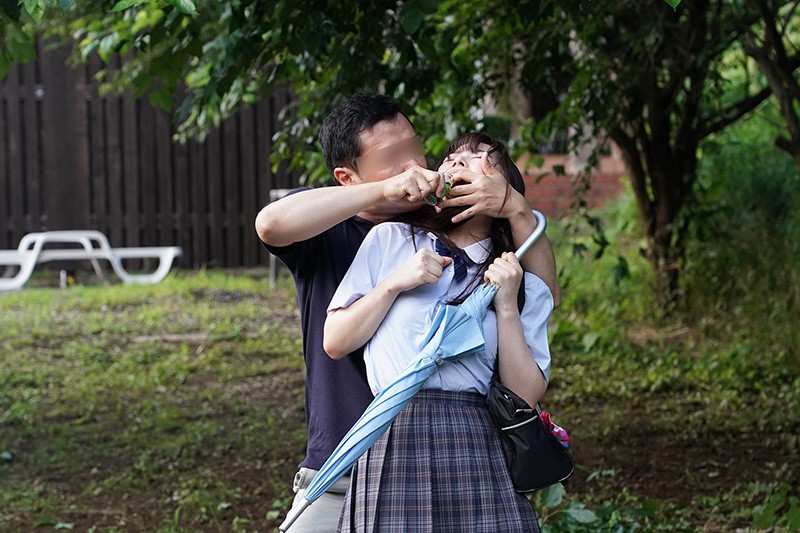 サンプル画像 5