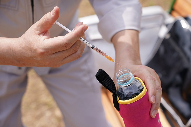 サンプル画像 15