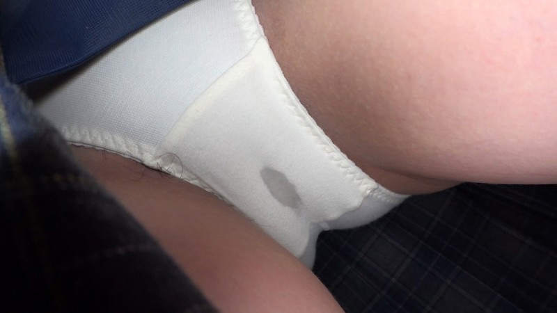 サンプル画像 3