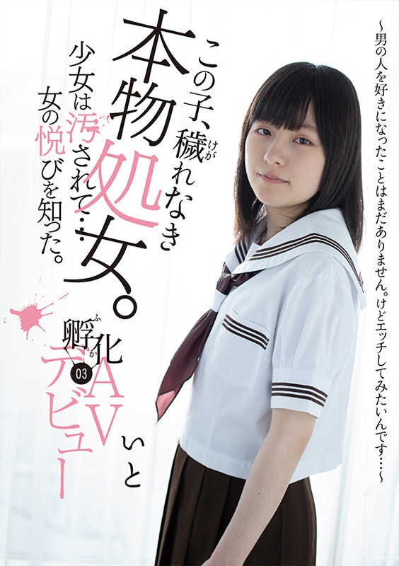 サンプル画像 21