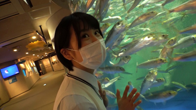 サンプル画像 8