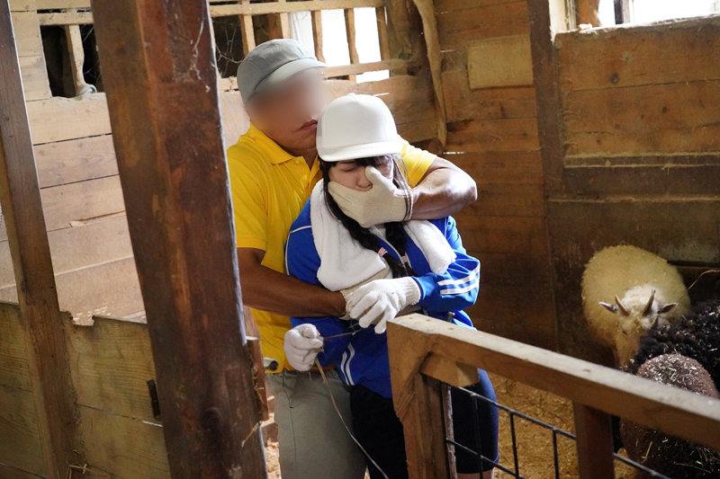 サンプル画像 11