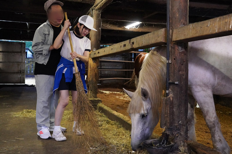 サンプル画像 16