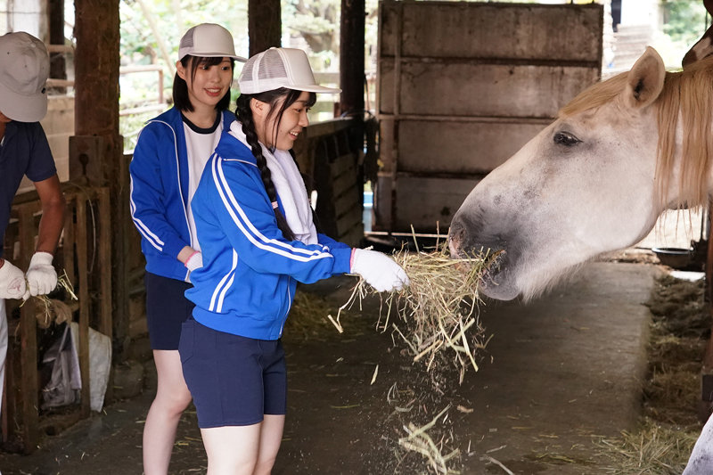 サンプル画像 10