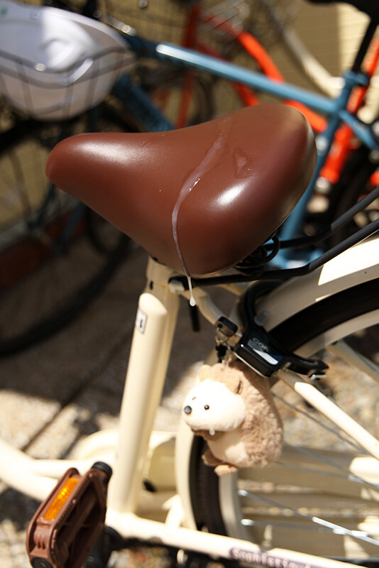 サンプル画像 6