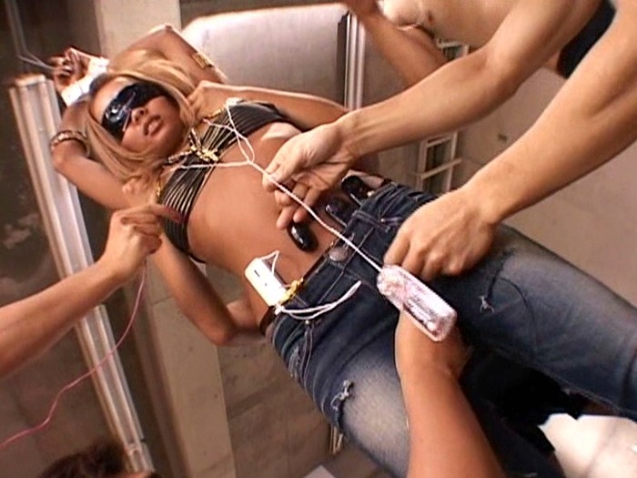 サンプル画像 14