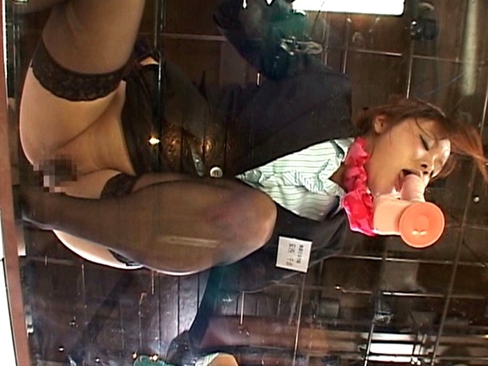 サンプル画像 8