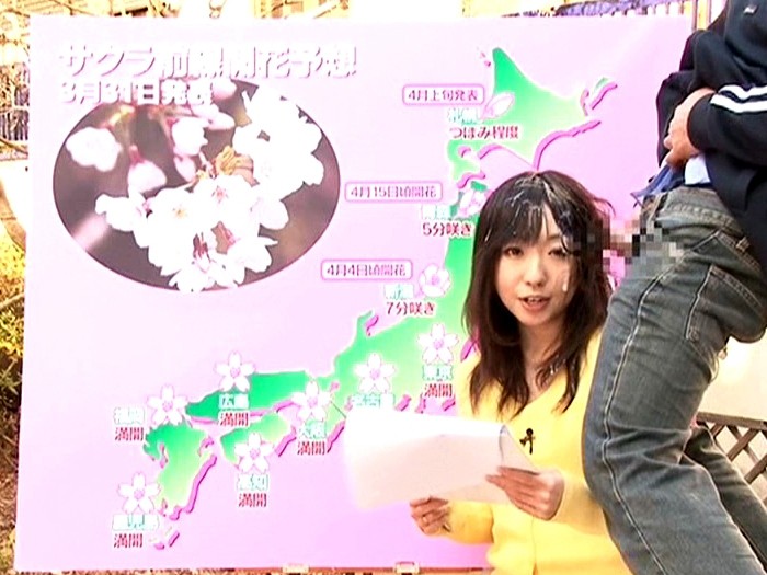 サンプル画像 13