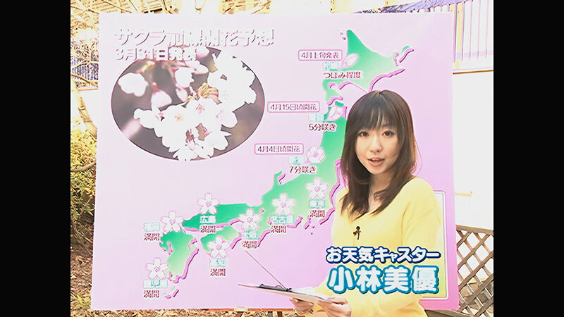 サンプル画像 8