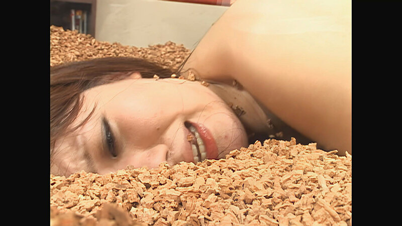 サンプル画像 13