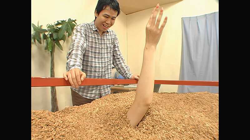 サンプル画像 3