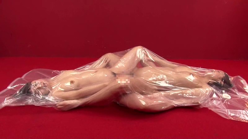 サンプル画像 16