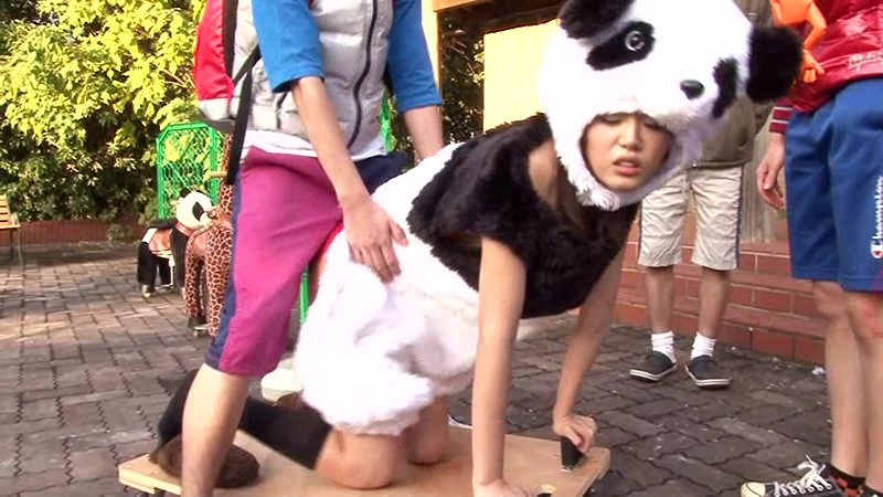 サンプル画像 9