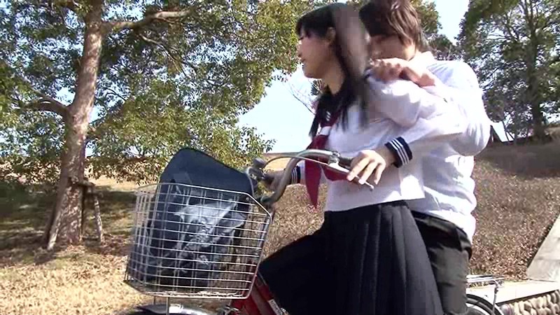 サンプル画像 2