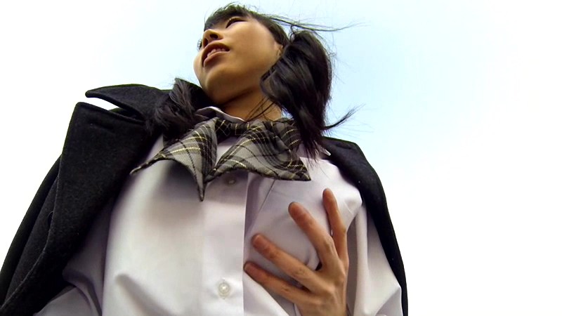 サンプル画像 14