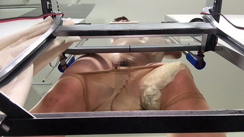 サンプル画像 5