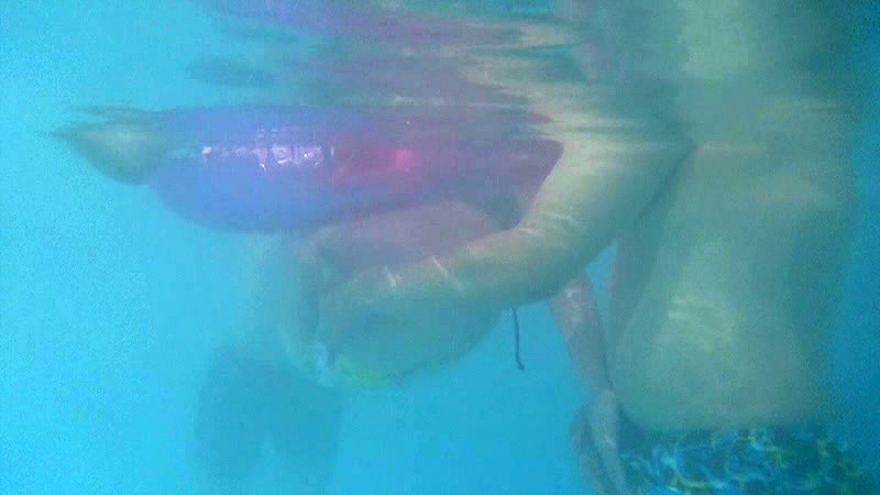 サンプル画像 15