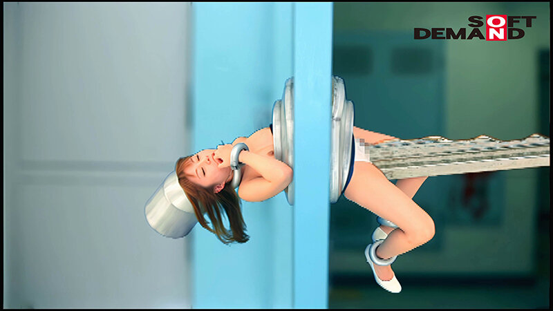 サンプル画像 8