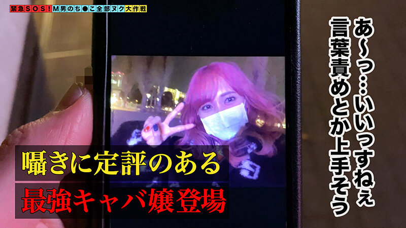 サンプル画像 14