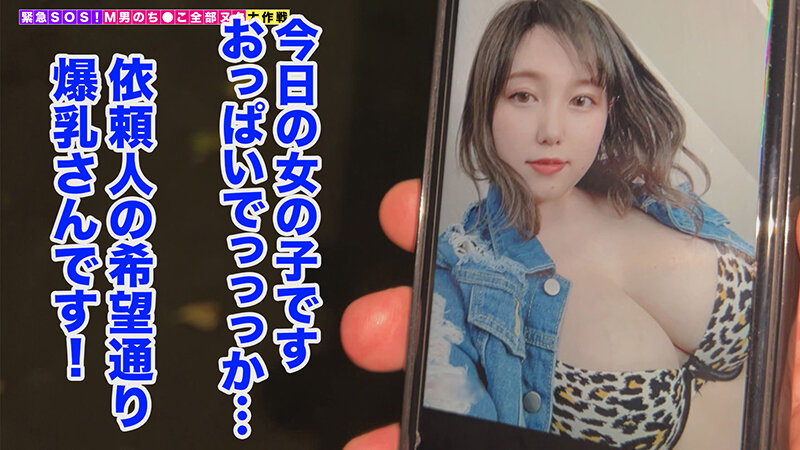 サンプル画像 17