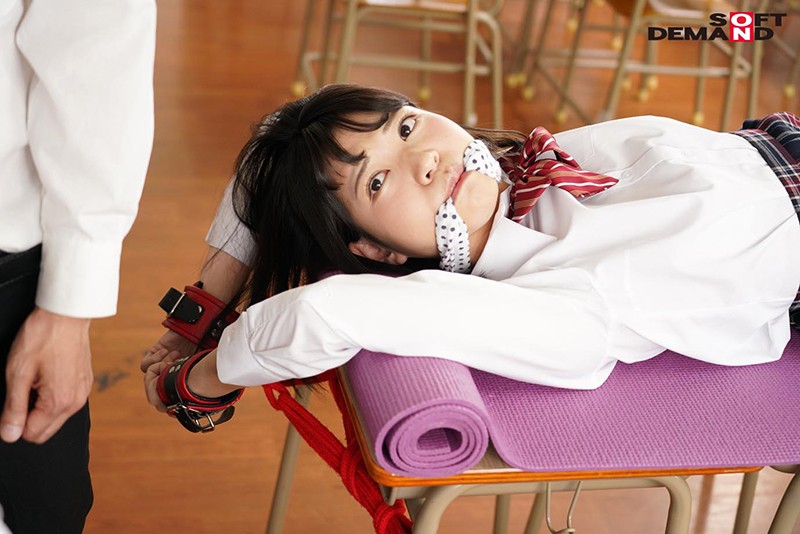 サンプル画像 11