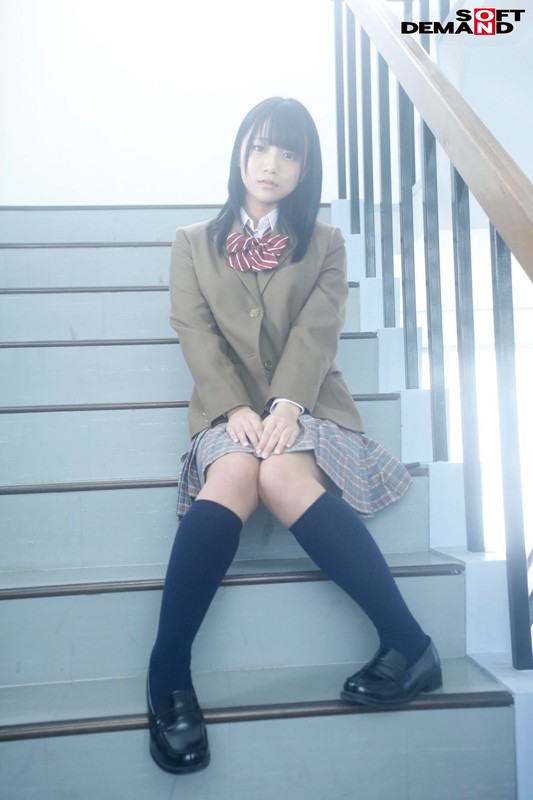 サンプル画像 16