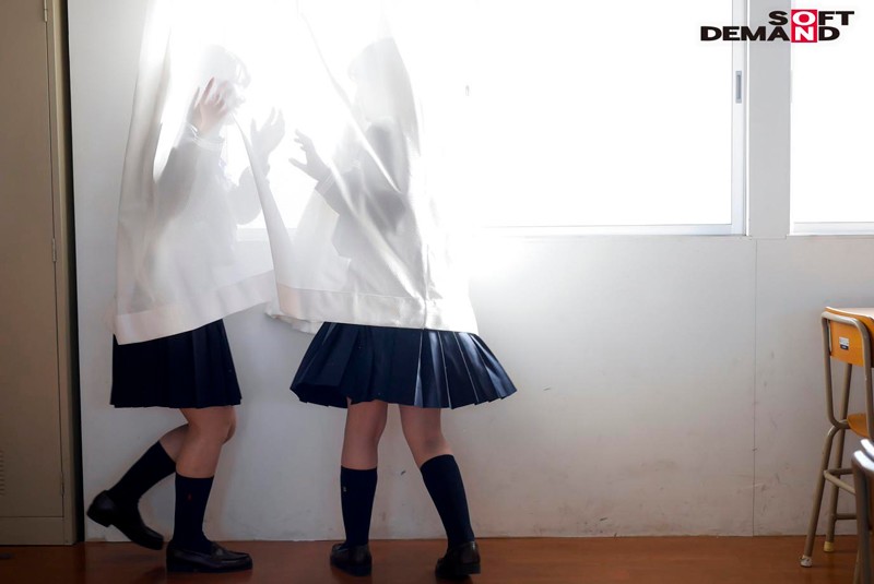 サンプル画像 7