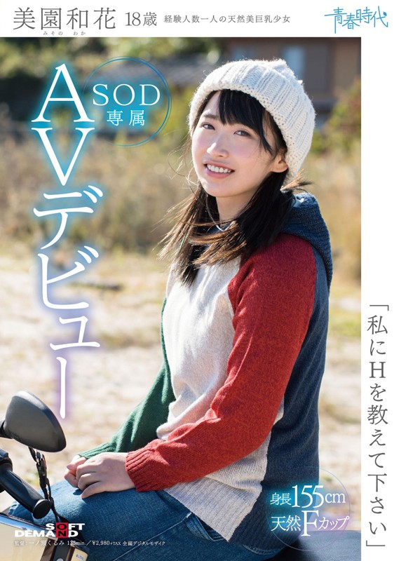 サンプル画像 13