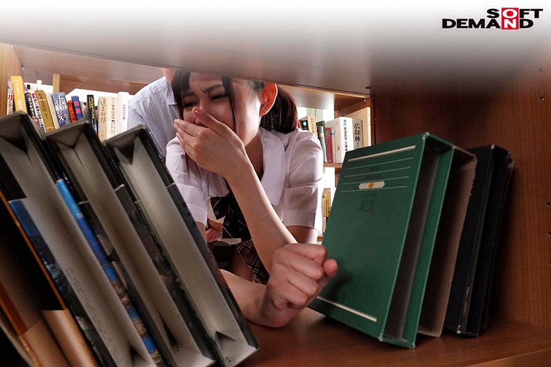 サンプル画像 5