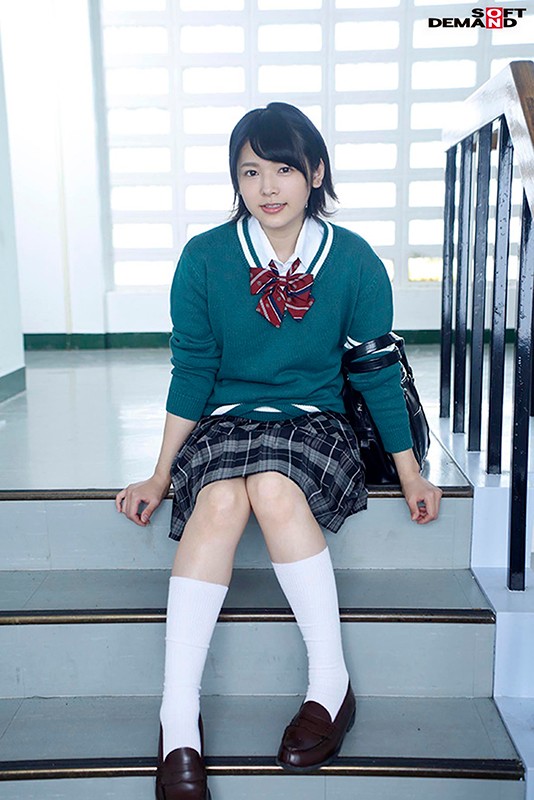 サンプル画像 5