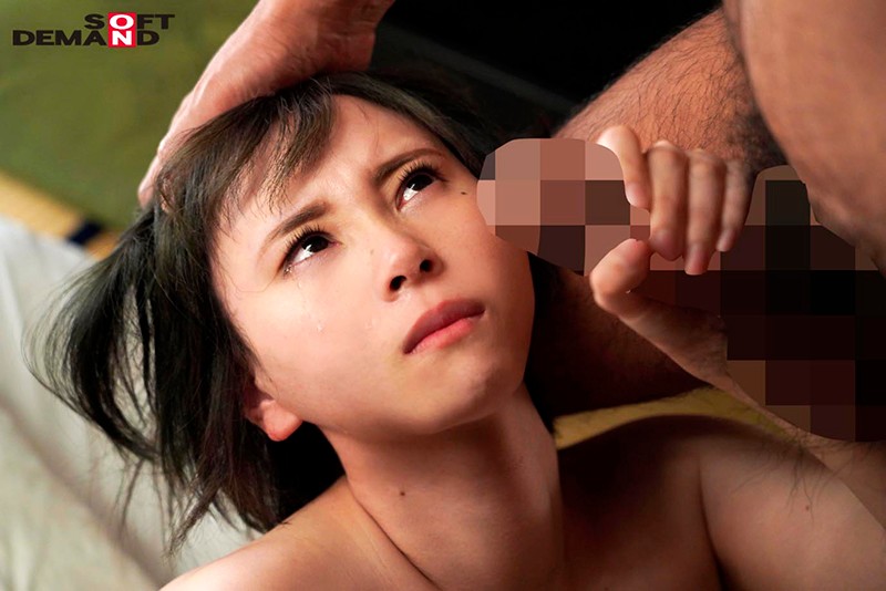 サンプル画像 13