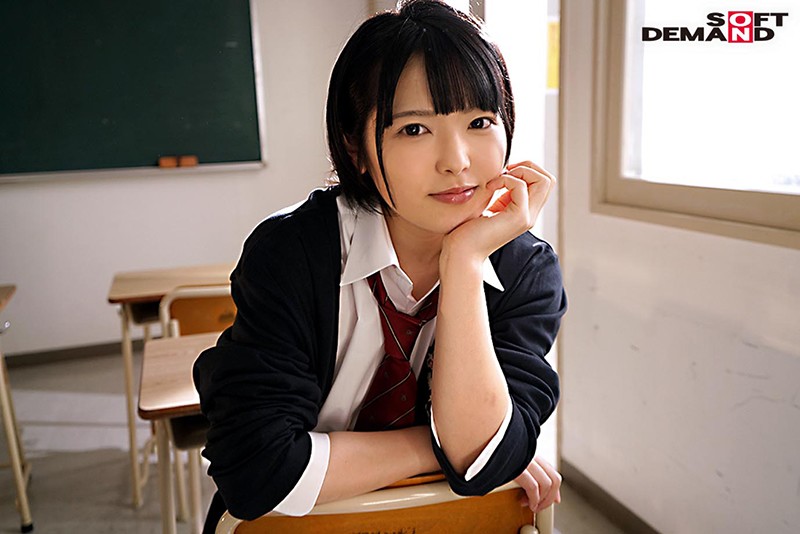 サンプル画像 9