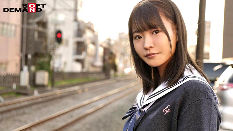 サンプル画像 11