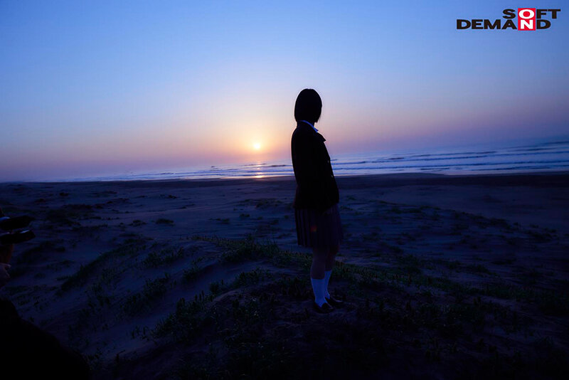 サンプル画像 9