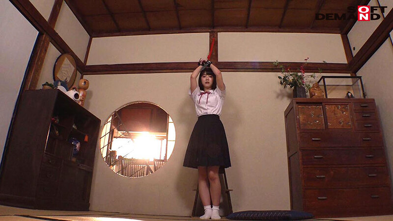 サンプル画像 16