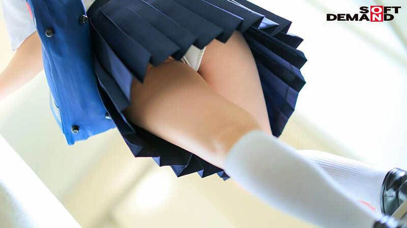 サンプル画像 4