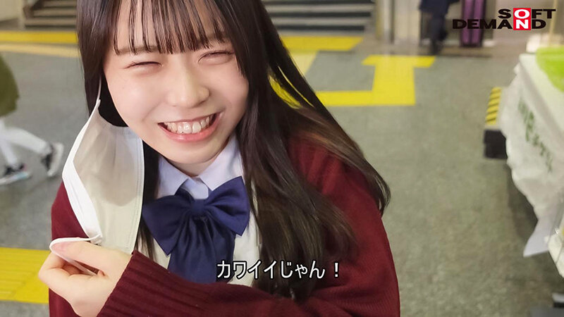 サンプル画像 5