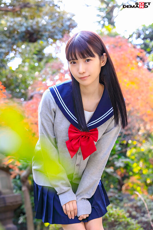 サンプル画像 16