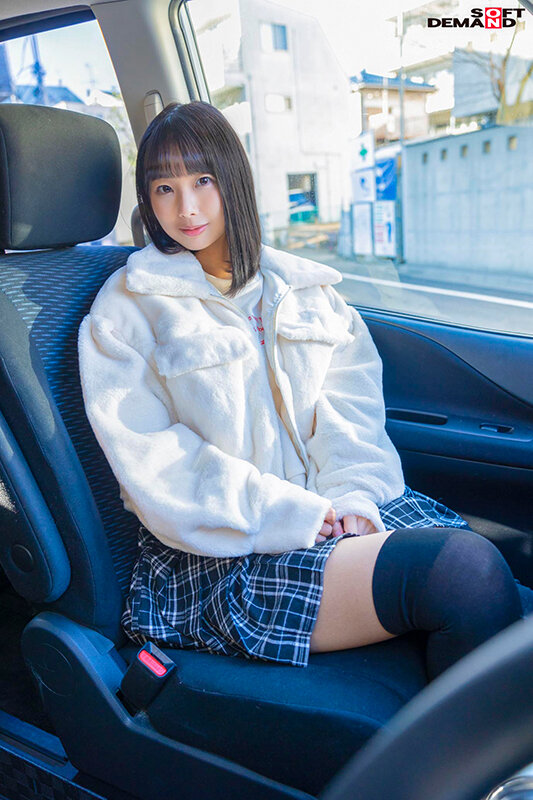 サンプル画像 5