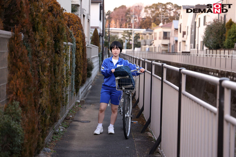 サンプル画像 13