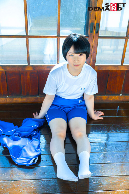 サンプル画像 3