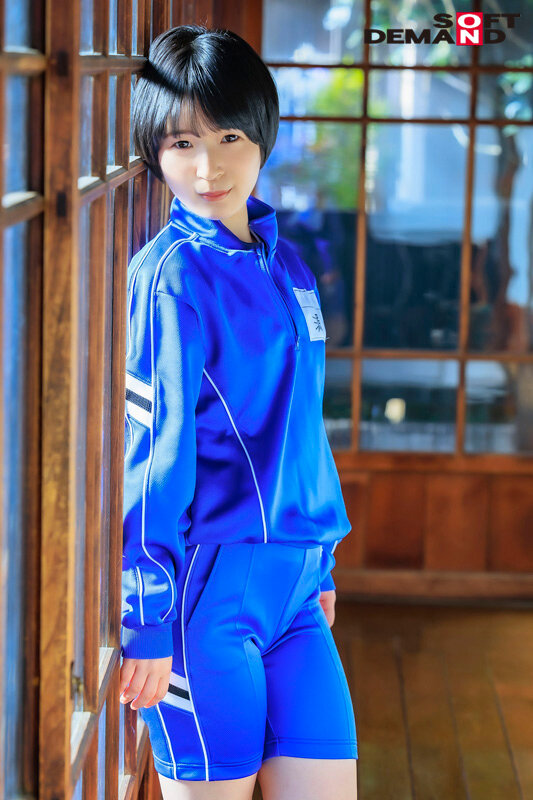 サンプル画像 4