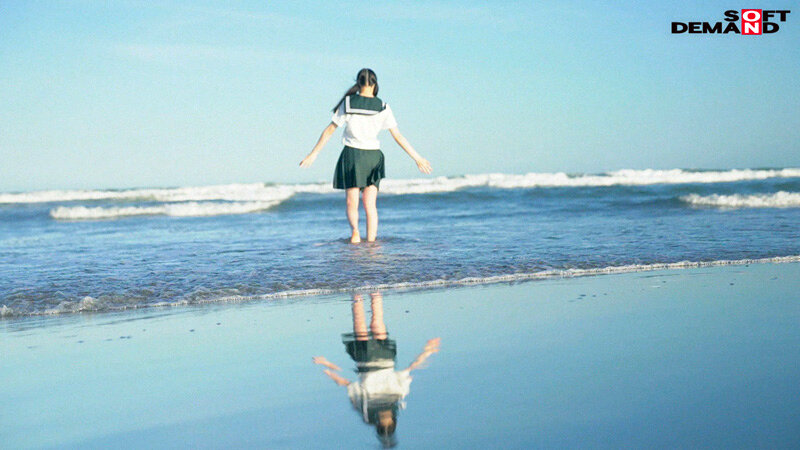 サンプル画像 13