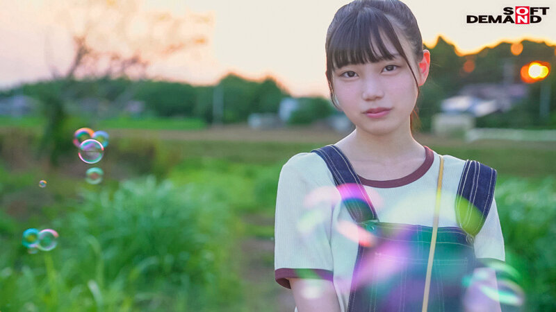 サンプル画像 3