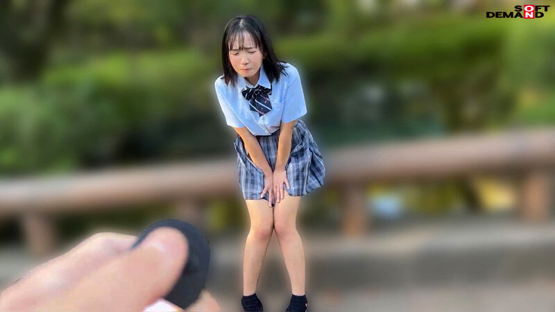 サンプル画像 8