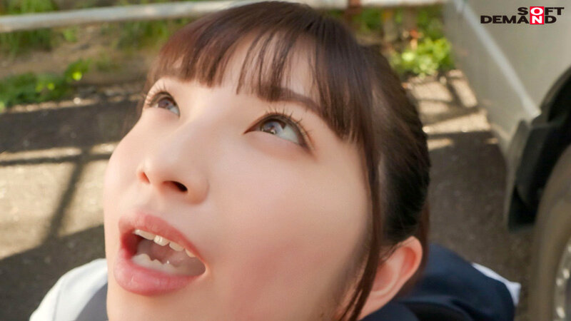 サンプル画像 17